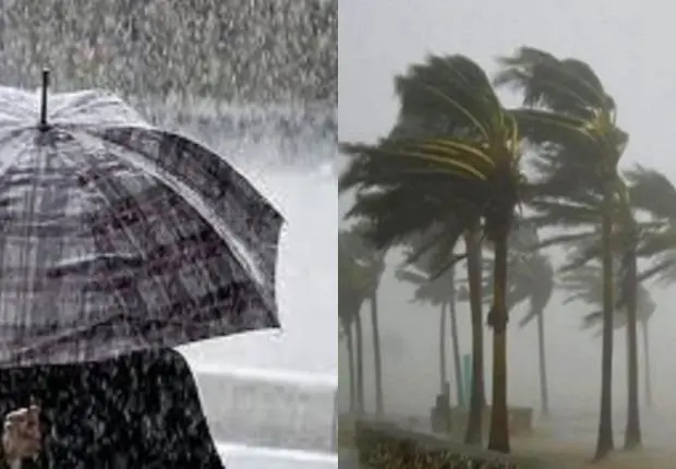 Alerte Météo : pluies et vents violents sur plusieurs wilayas