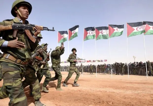 Hizbollah en Algérie : « C’est un tissu de mensonges » (Belani)