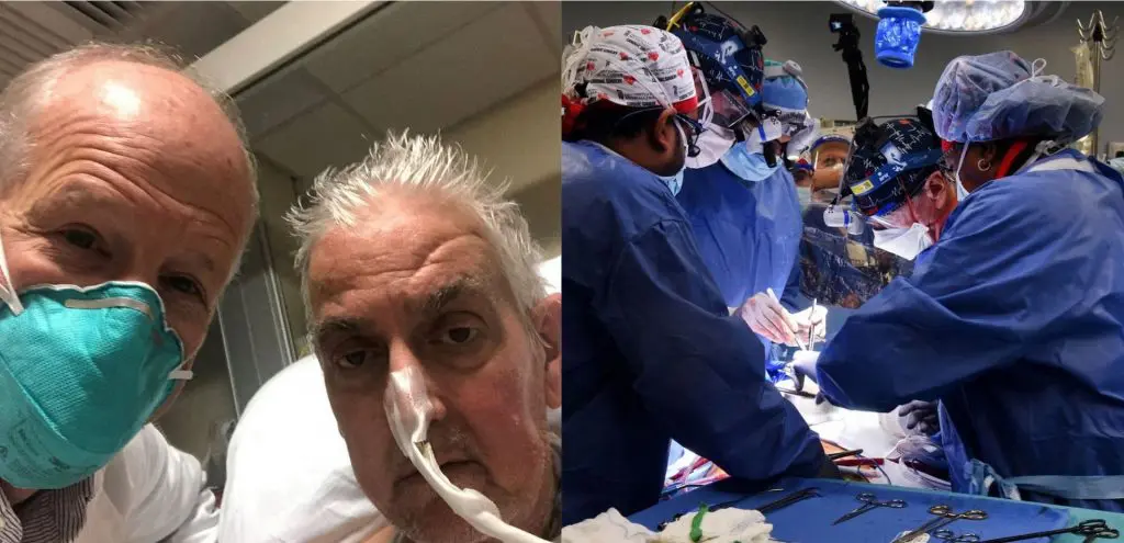 Le cœur d’un porc transplanté chez un homme, une première mondiale
