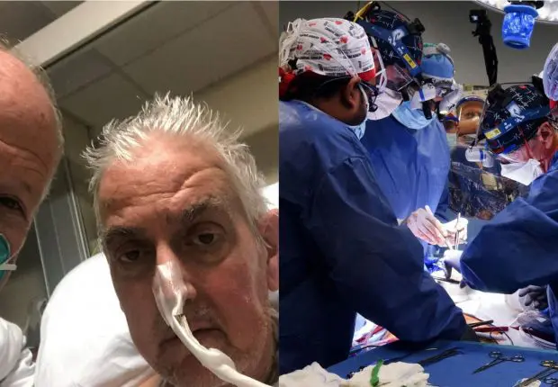 Le cœur d’un porc transplanté chez un homme, une première mondiale