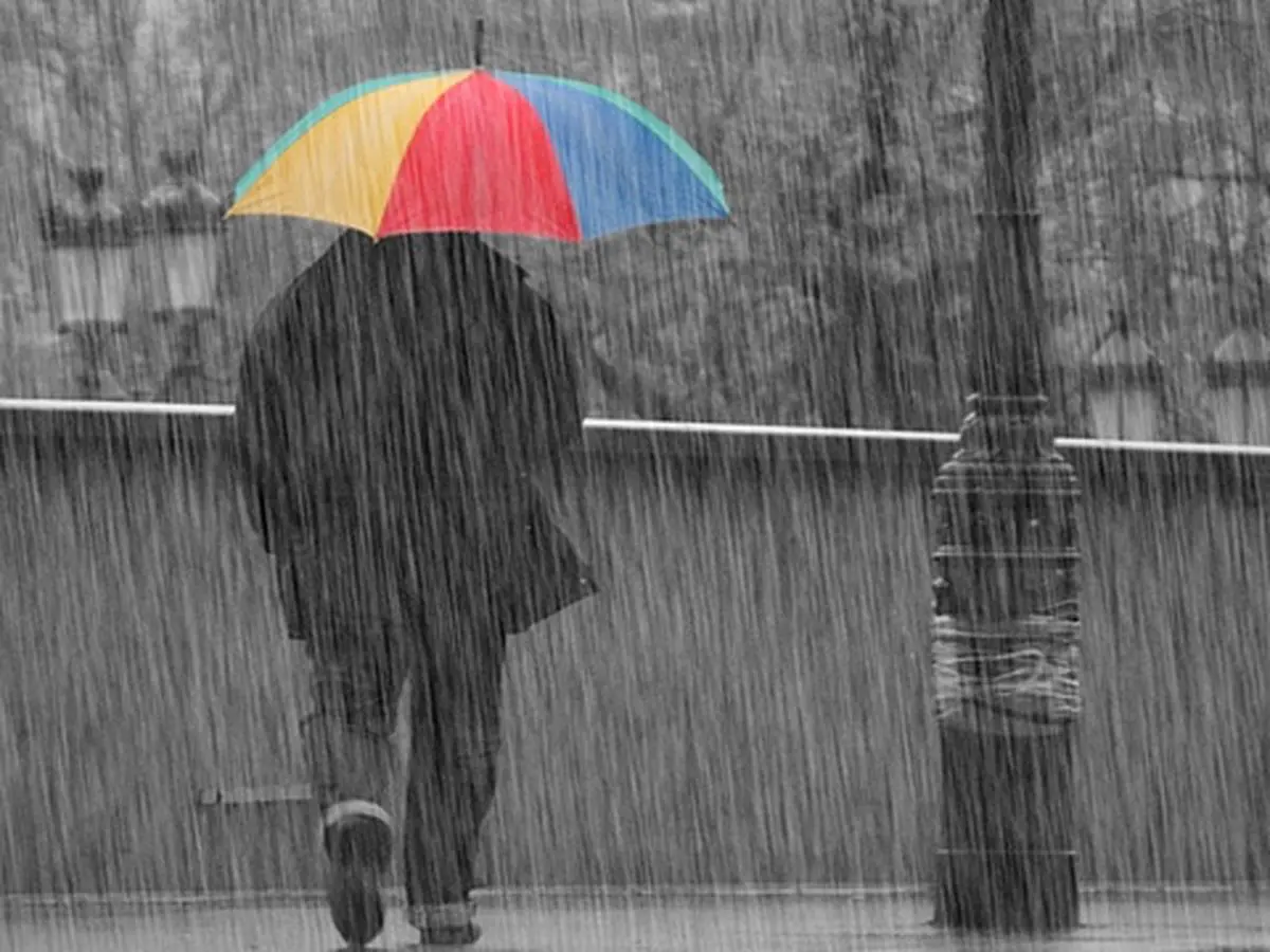 Météo Algérie : pluies et vents violents sur plusieurs wilayas