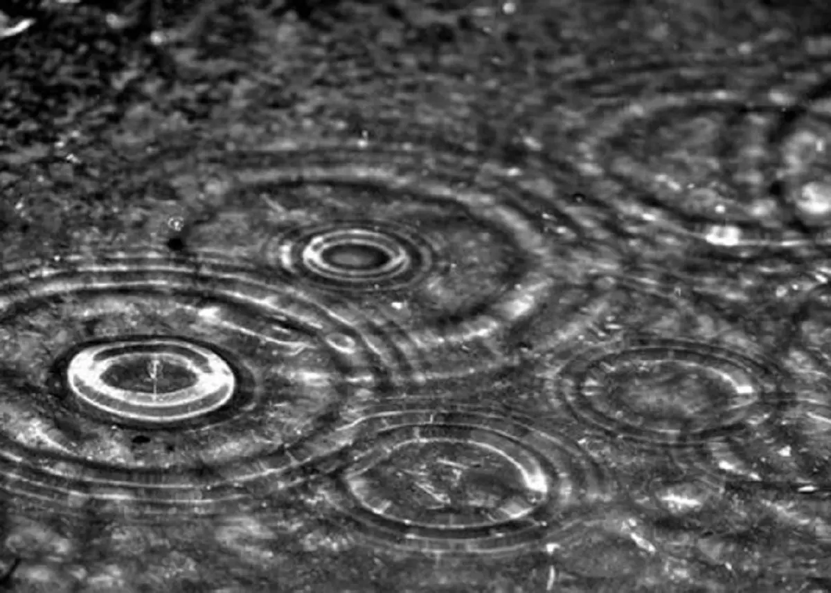 Météo Algérie : les prévisions pour ce 11 janvier