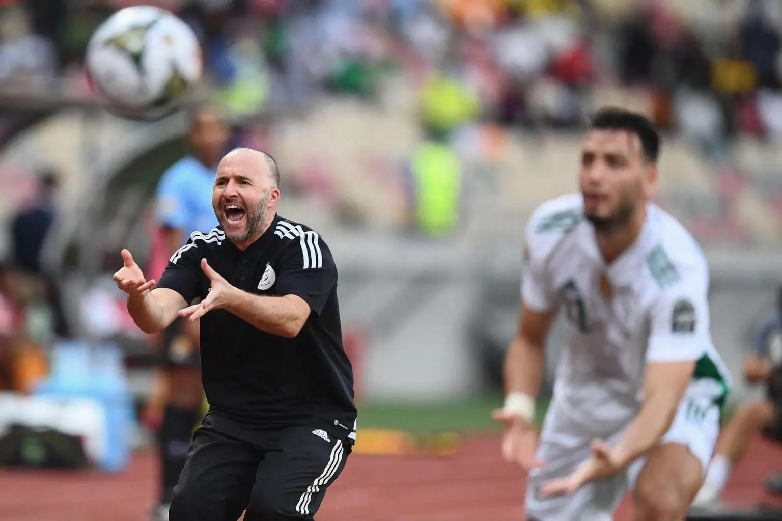 Élimination CAN 2022 : ce qui n’a pas marché pour l’Algérie