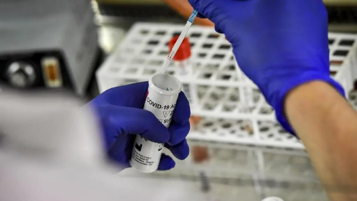 Covid-19 en France : un nouveau variant découvert dans le sud