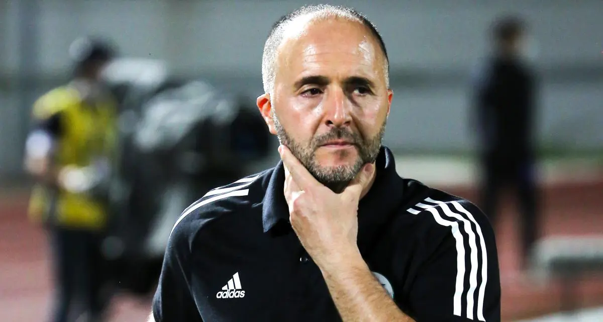 Algérie – Sierra Leone: 5 points à retenir des déclarations de Belmadi
