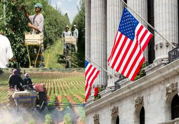 Agriculture: quand des opérateurs américains s’intéressent à l’Algérie