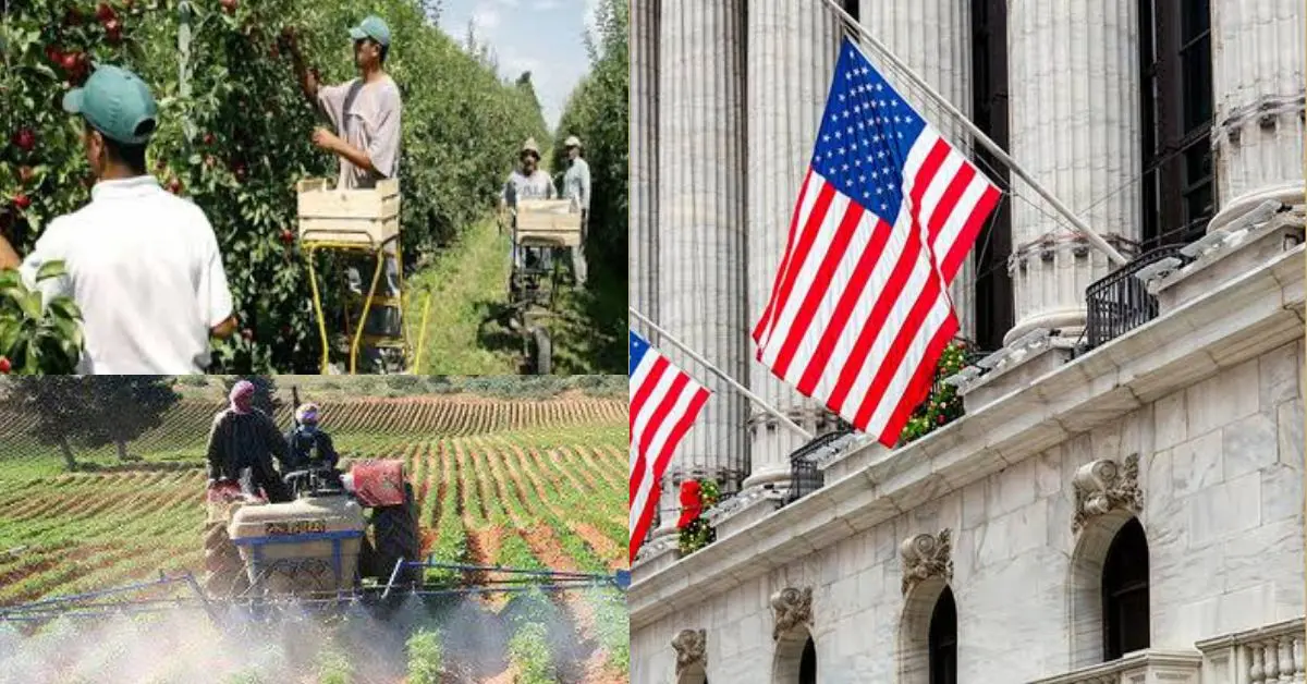 Agriculture: quand des opérateurs américains s’intéressent à l’Algérie