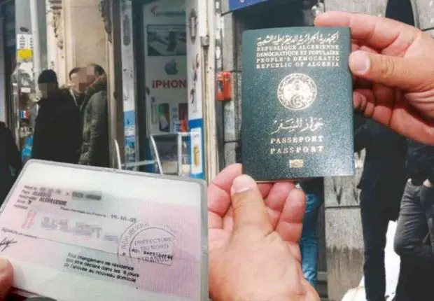 France : quel sort pour les sans-papiers algériens ?