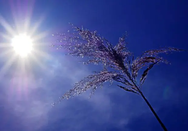 Météo Algérie : les prévisions pour ce 14 janvier