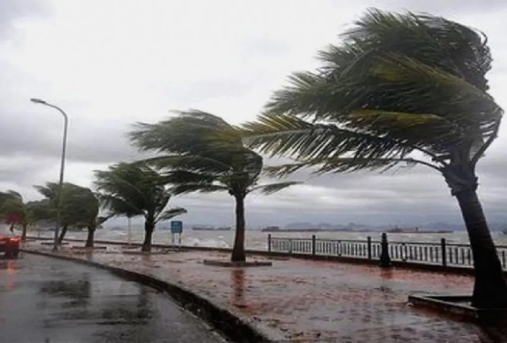 Météo Algérie : les prévisions pour ce 15 janvier