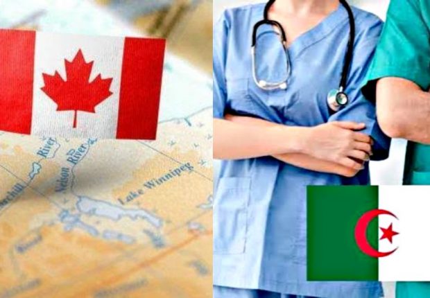 Immigration Canada : quelles démarches pour étudiants en paramédical ?