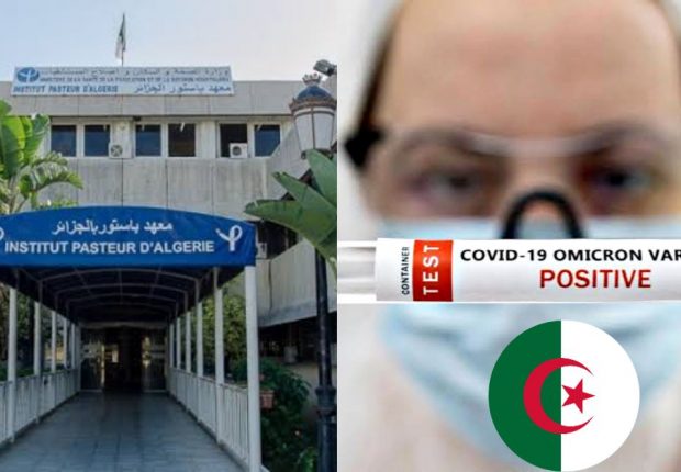 Sous-variants de Covid-19 : l’Institut Pasteur dévoile un nouveau bilan