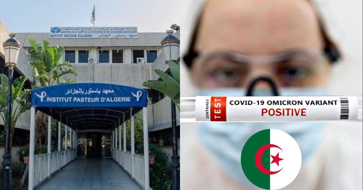 Sous-variants de Covid-19 : l’Institut Pasteur dévoile un nouveau bilan