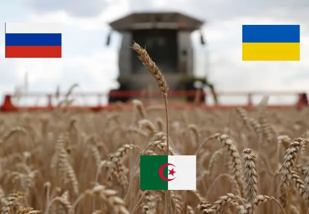 Blé ukrainien : le contrat russe a-t-il sauvé l’Algérie ?