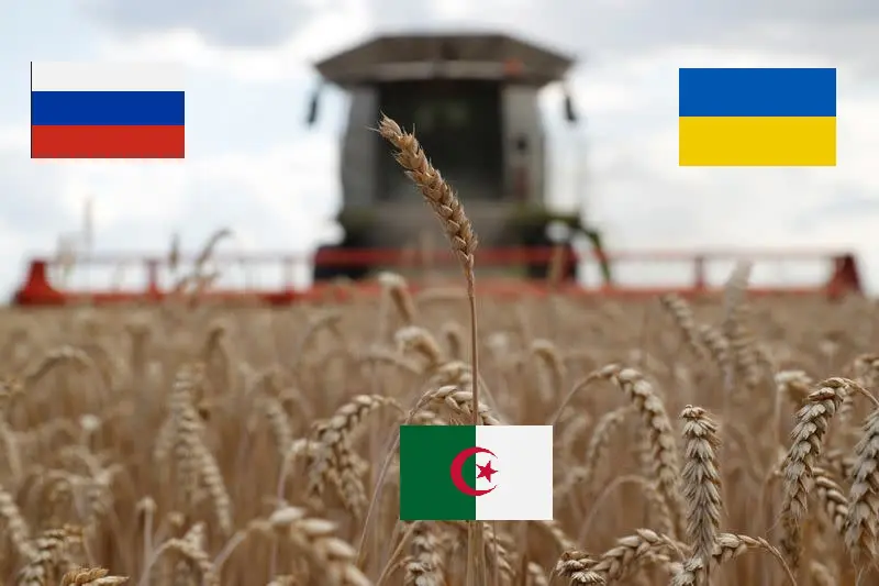 Blé ukrainien : le contrat russe a-t-il sauvé l’Algérie  ?