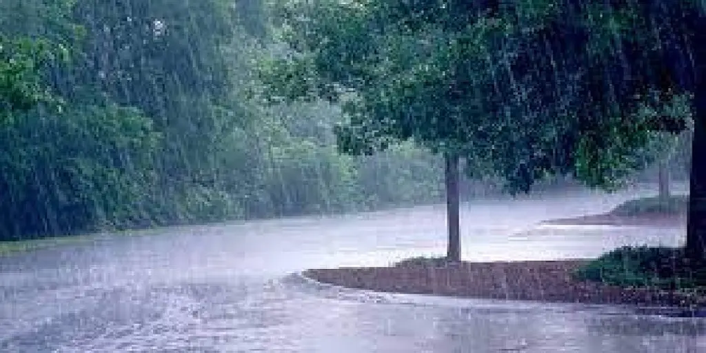 Météo : retour de la pluie et de la neige à partir de lundi