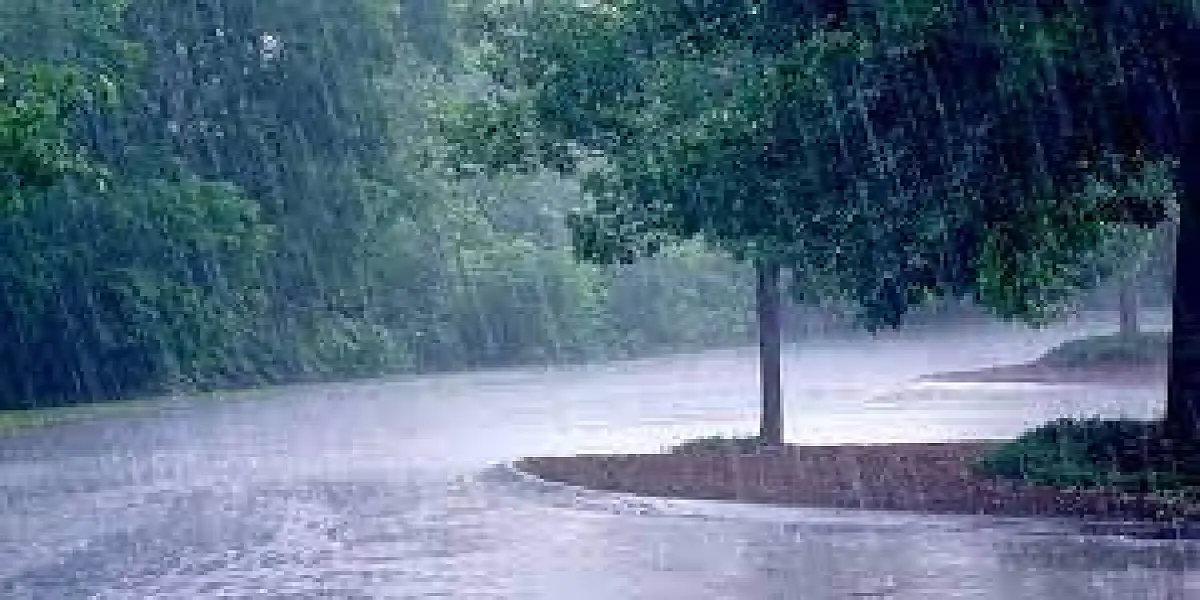 Météo : retour de la pluie et de la neige à partir de lundi