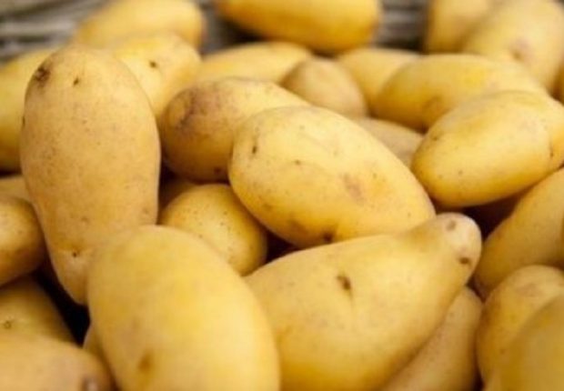 Pomme de terre : les prix flambent de nouveau