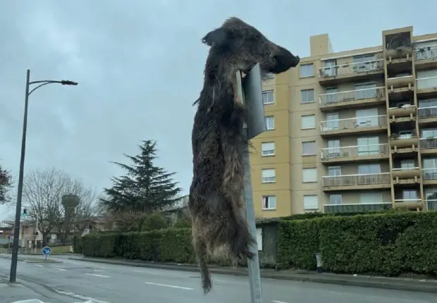 France : des pompes funèbres musulmanes visées par un acte islamophobe