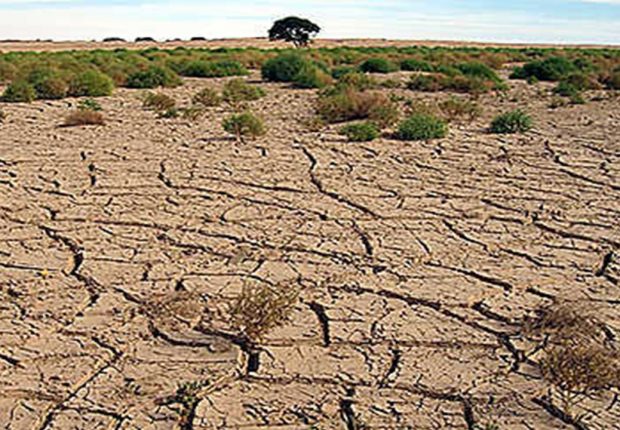 Manque de pluie en Algérie : est-il temps de parler de sécheresse ?