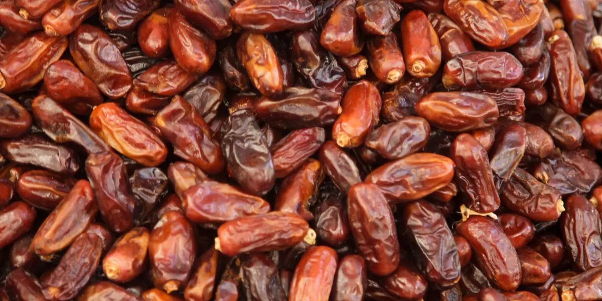 Deglet Nour : les dattes algériennes désormais protégées par l’OMC