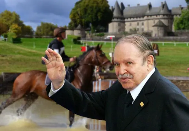 Chevaux offerts par Bouteflika à la France : que sont ils devenus ?