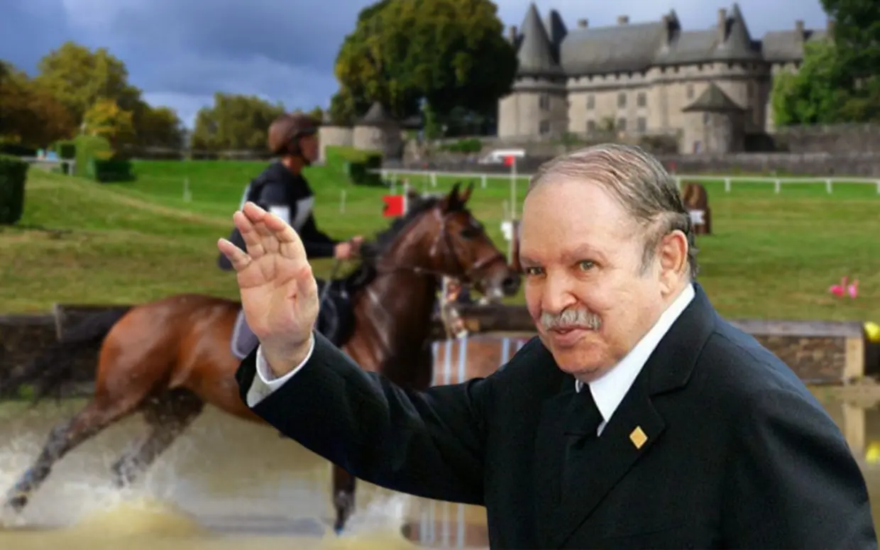 Chevaux offerts par Bouteflika à la France : que sont ils devenus ?
