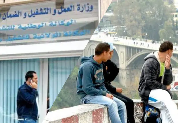 Allocation chômage en Algérie : du nouveau dans le dossier