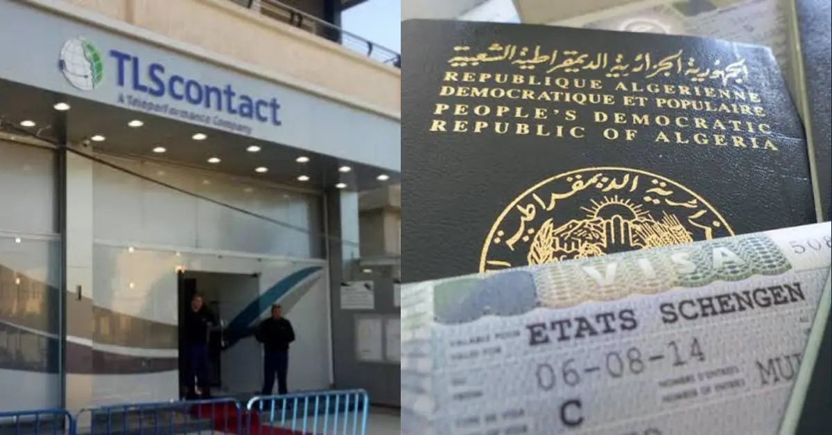Visas en Algérie : les mises en garde de TLS contact
