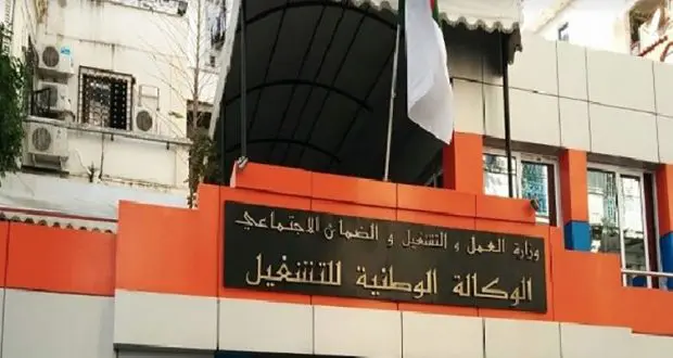 Allocation chômage : le DG de l&rsquo;ANEM donne des chiffres