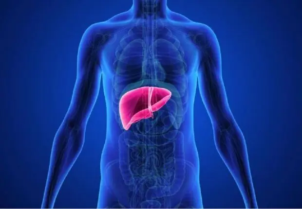 Tumeurs du foie et de l’utérus : quand les innovations médicales sauvent des vies