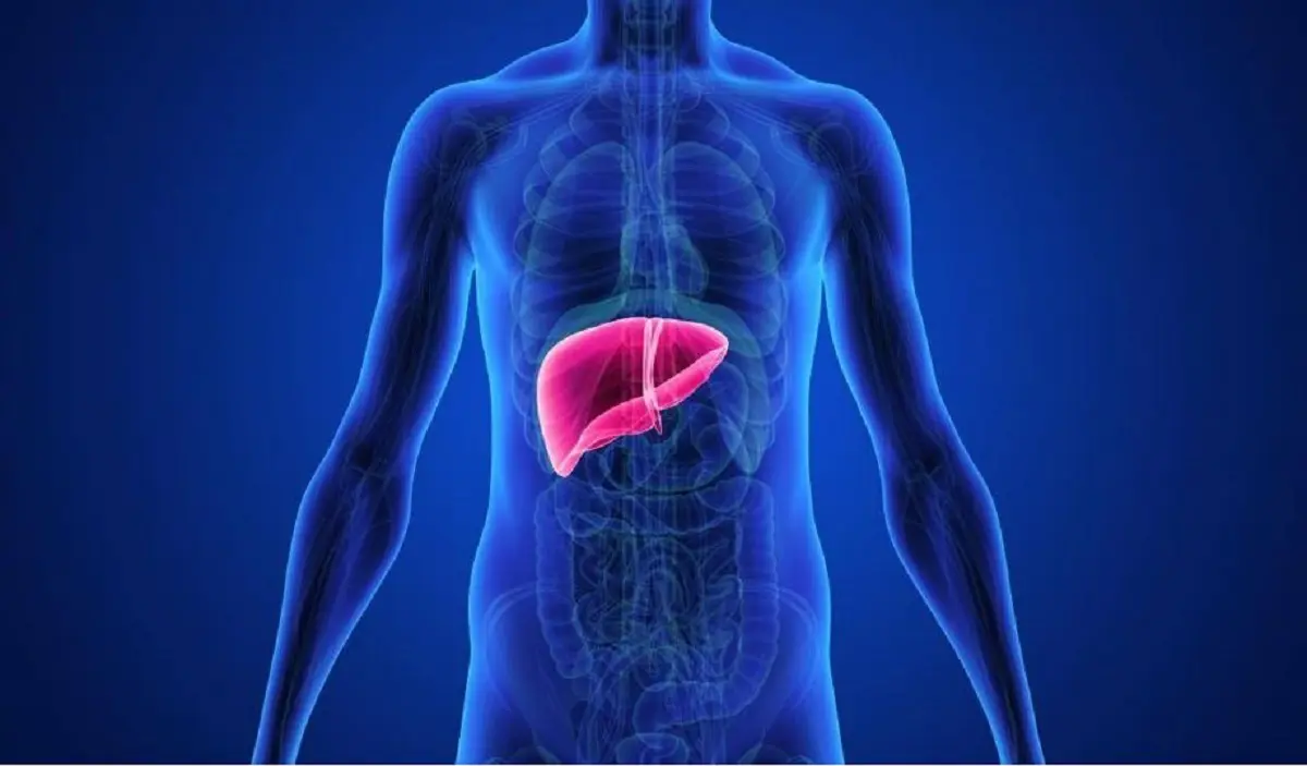 Tumeurs du foie et de l’utérus : quand les innovations médicales sauvent des vies