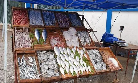 Marché du poisson en Algérie : Les prix choquent !