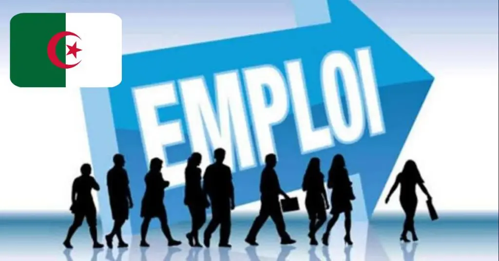 Emploi en Algérie : quels sont les secteurs qui recrutent le plus en 2022 ?
