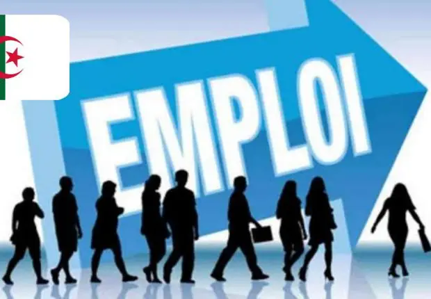 Emploi en Algérie : quels sont les secteurs qui recrutent le plus en 2022 ?