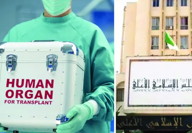 Don d’organes en Algérie : nouvelle Fatwa