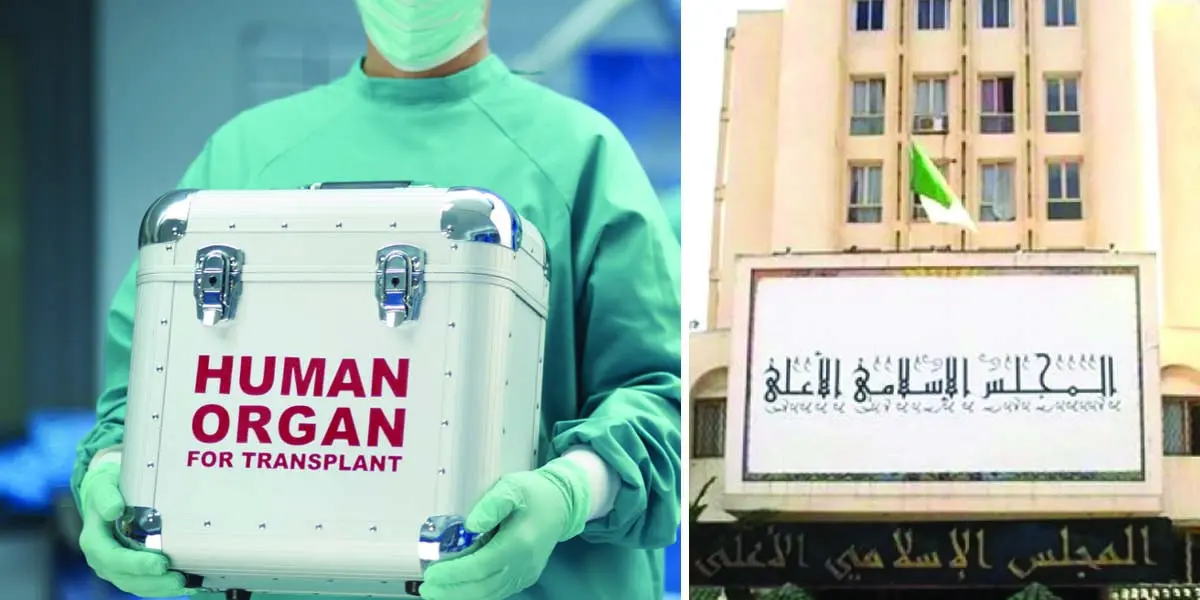 Don d’organes en Algérie : nouvelle Fatwa