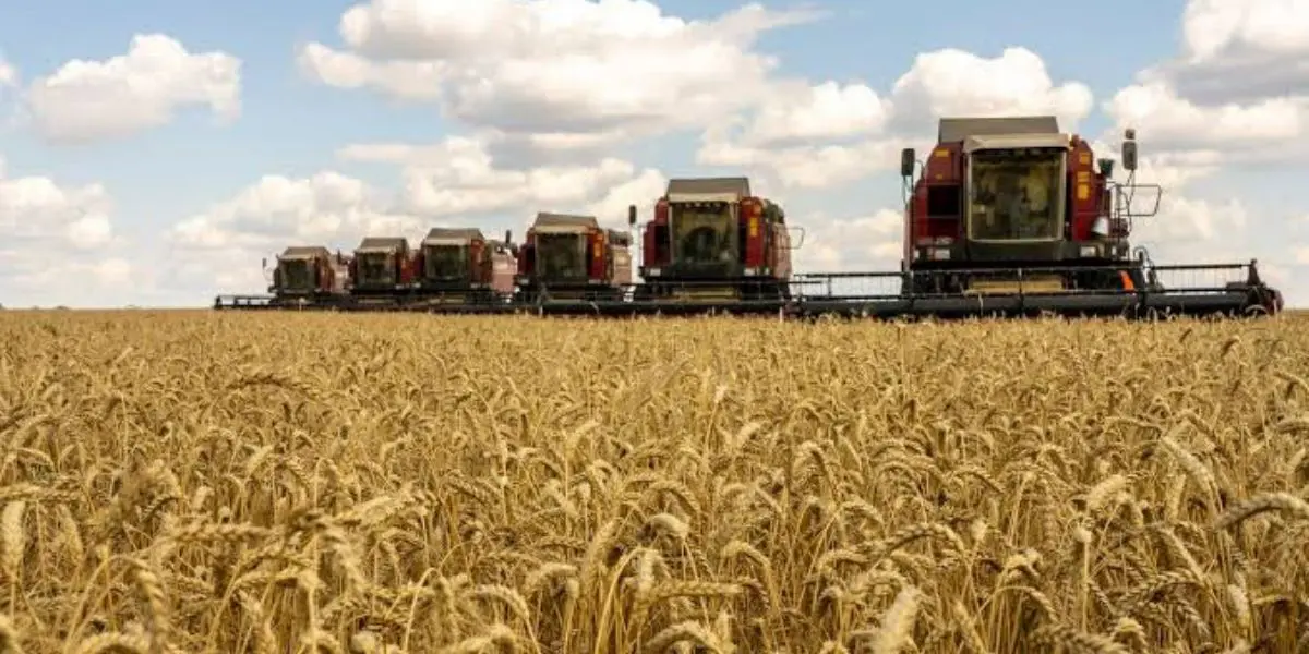 Flambée des prix alimentaires : la FAO tire la sonnette d’alarme