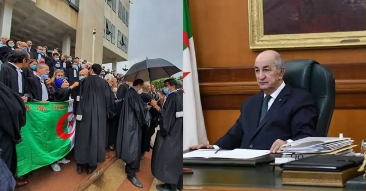 Ils interpellent Tebboune : vers une nouvelle grève des avocats