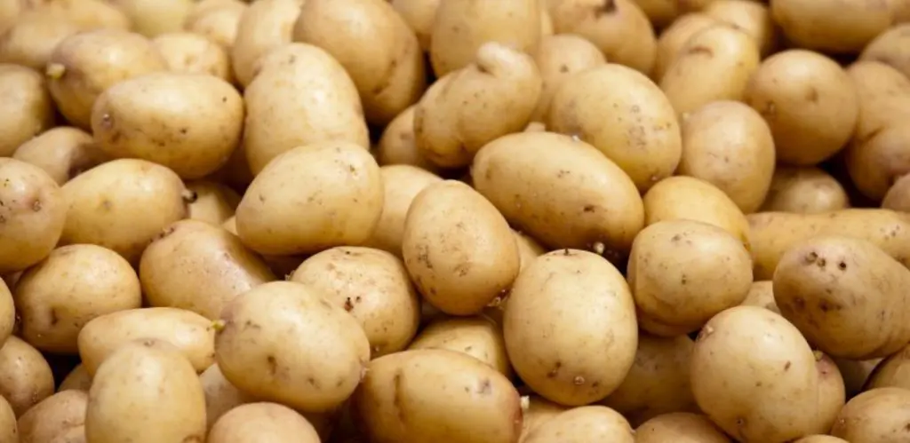 Pomme de terre : les prix atteignent des sommets