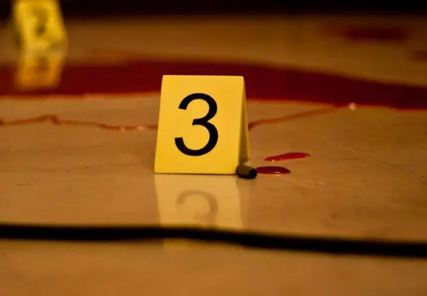 Meurtre à Bouira: il attire 2 frères dans sa ferme, puis les assassine