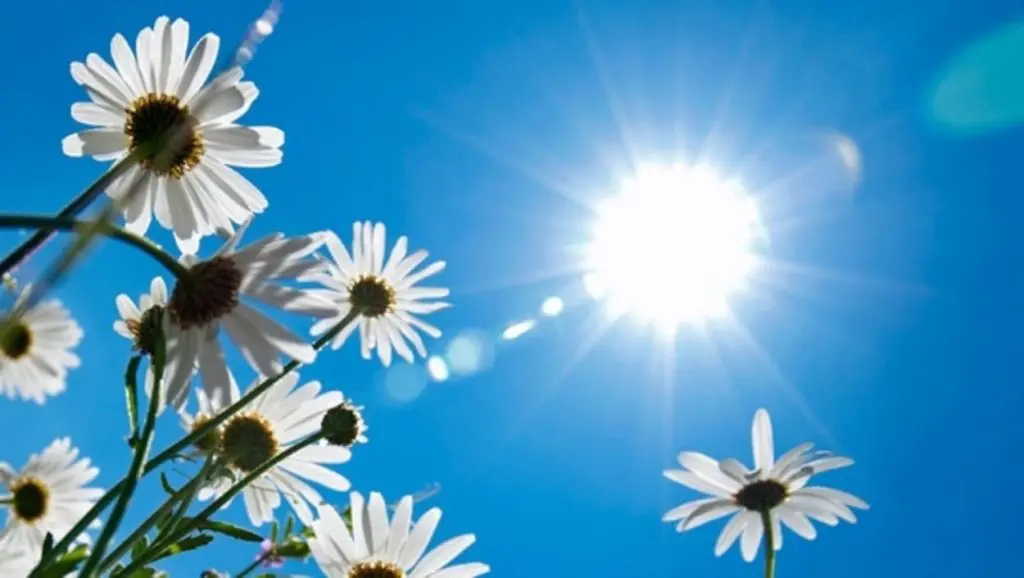 Météo Algérie : retour du printemps ce vendredi 22 avril