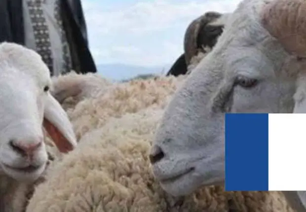 Aïd al Adha 2022 : la France se prépare avec de nouvelles mesures