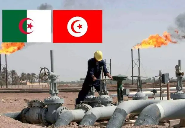 La Tunisie demande plus de Gaz : l’Algérie a-t-elle dit « non » ?
