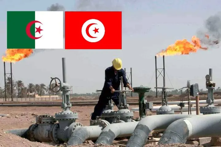 La Tunisie demande plus de Gaz : l’Algérie a-t-elle dit « non » ?