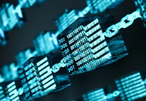 Comment fonctionnent les différents réseaux de blockchain et quelles sont leurs différences ?