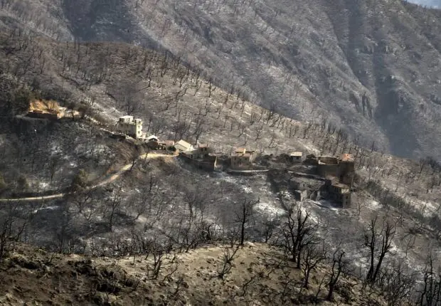 Incendies en Algérie : le ministre de l’intérieur affirme l’indemnisation des personnes touchées