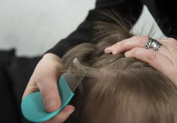 Alger : l’épidémie de poux envahit les écoles