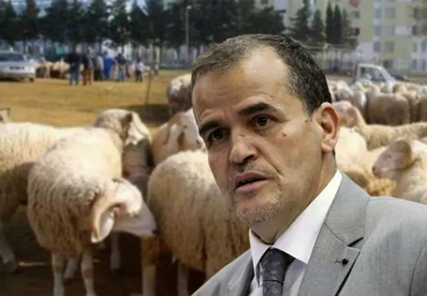 Aïd al-Adha : nouvelle instruction de Rezig sur la vente de bétail