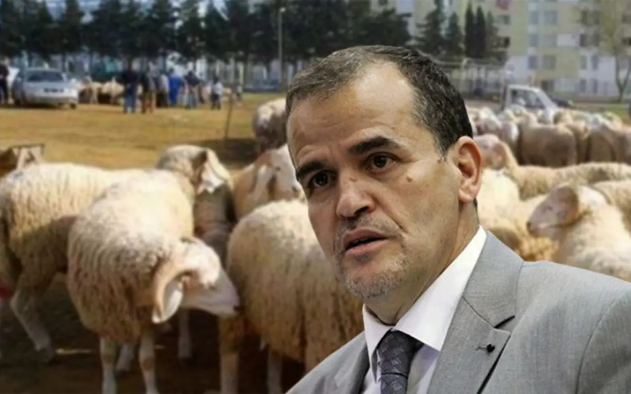 Aïd al-Adha : nouvelle instruction de Rezig sur la vente de bétail